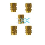 Valve Cap Set 5 Piece Blister Gold