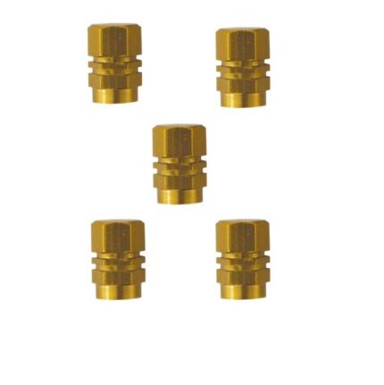 Valve Cap Set 5 Piece Blister Gold