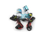 HID H8 Bulb 2 Piece 6000K 12V