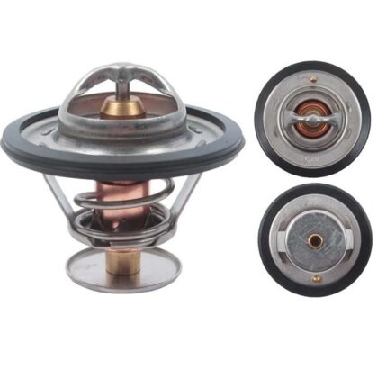 Thermostat Kia/Hyundia/Renault/Nissan