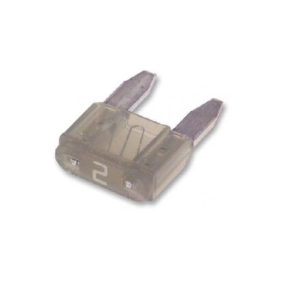 Mini Plug In Fuse 2 Amp - 100 Pack