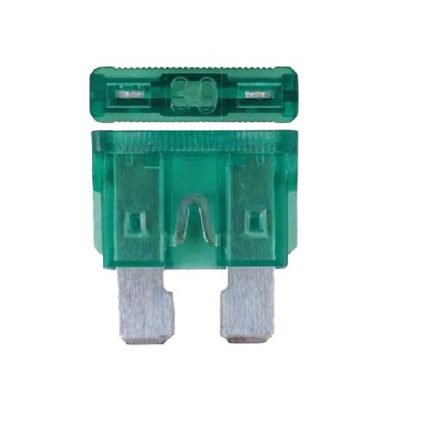 Plug In Fuse 30 Amp
