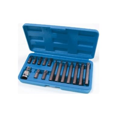 15 Piece Torx (1/2) Bits Set