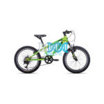 Apex 20 Inch Mountain Bicycle Green For Boys A200