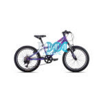 Apex 20 Inch Mountain Bicycle Green For Ladies A200L