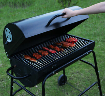 BBQ Grill and Braaier