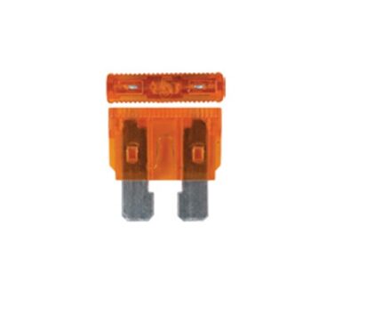 Plug In Fuse 5 Amp Per 100
