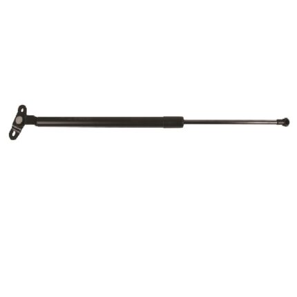 Gaslift Conquest & Tazz [2] (Lhs)(585mm-400NM)