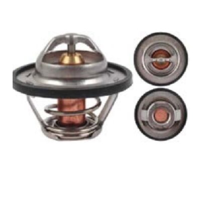 Thermostat Renault Clio/Megane/Scenic