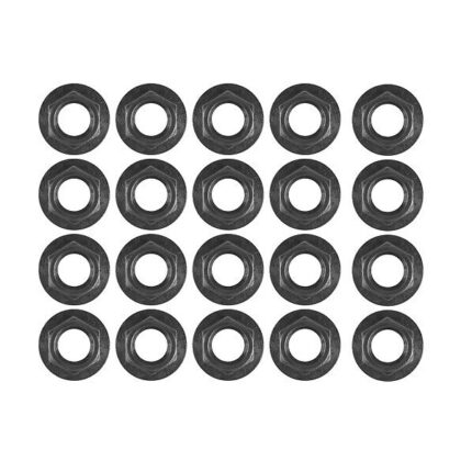 Bb Alxe Nut 20 Pieces In Bag