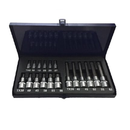 Torx Bit Set 18 Pieces 1/4 & 1/2 Drive