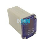 25 Amp female Maxi Automotive Fuse