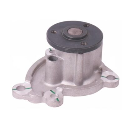 Water Pump Datsun Go GEN-1 2023 - upwards