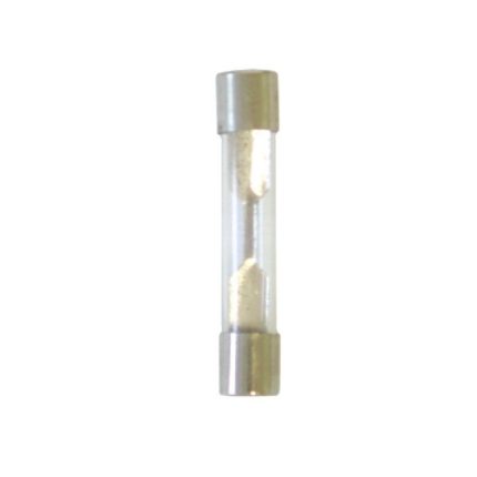 20 Amp Glass Fuse - 100 Pieces Per Pack