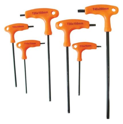 6 Piece T Handle Torx Set