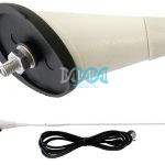 Aerial Bee Sting White Small Nut