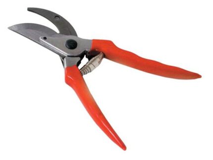 8 Pruning Shears