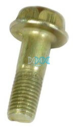 Caliper Bolt E20 & Quantum