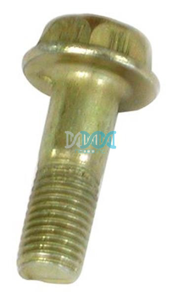 Caliper Bolt E20 & Quantum