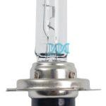 12V Halogen Headlight Bulb