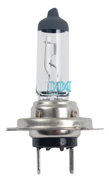 12V Halogen Headlight Bulb