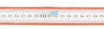 Ruler Stainless Steel 600mm