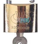 Brass Plated Lock 50mm