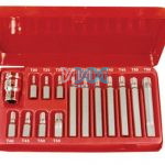 Torx Set In Metal Case Tw