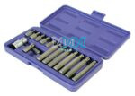 15 Piece Torx (1/2) Bits Set