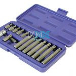 15 Piece Torx (1/2) Bits Set