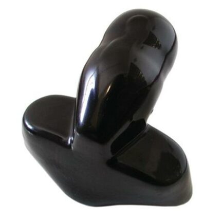 Goose Neck Cover Trailer