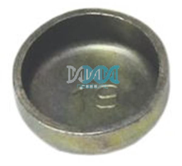 NEO-07118 Welsch Plug 19mm Zinc Plate